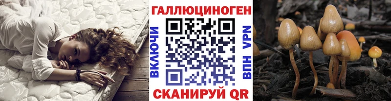 Купить где  Тверь  Галлюциногенные грибы Magic Shrooms 